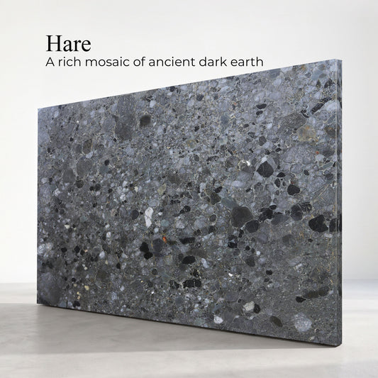 Hare