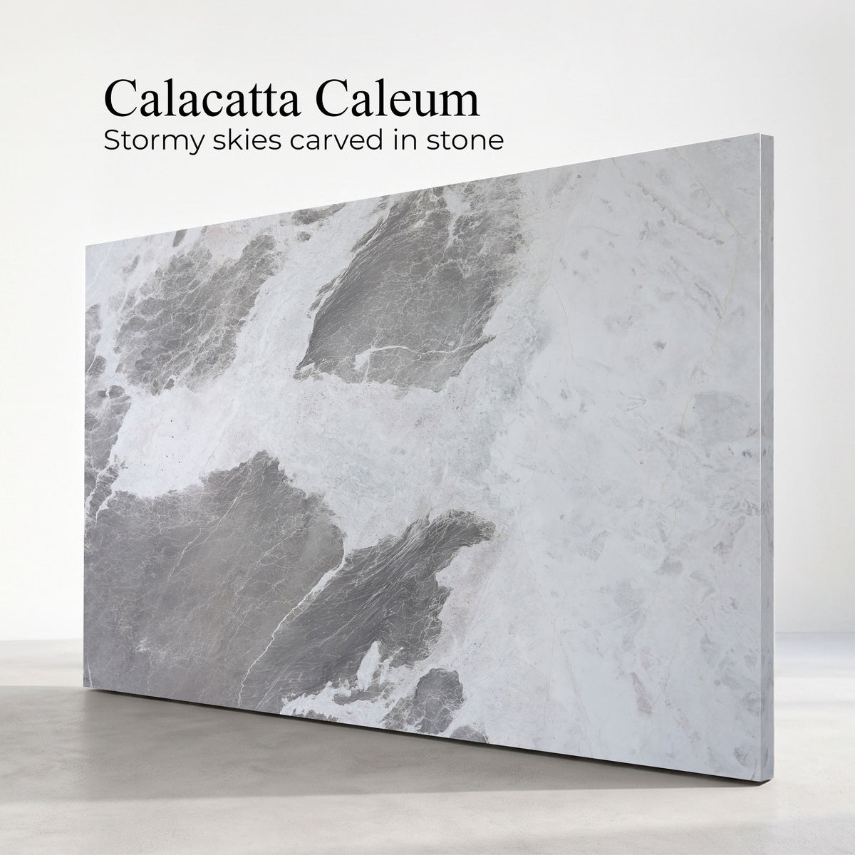 Calacatta Caleum