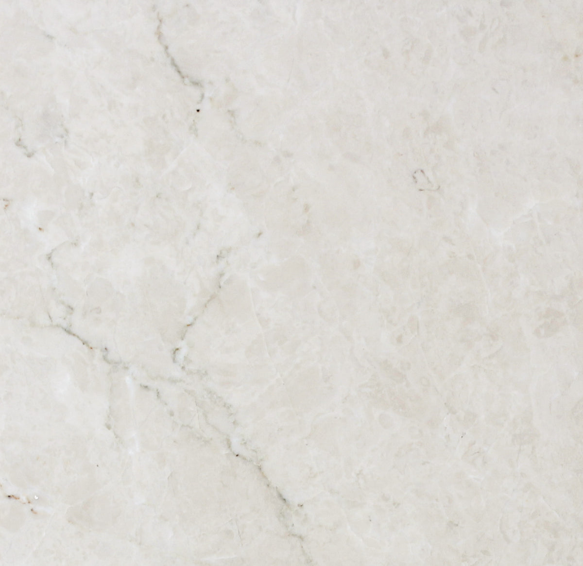 Crema Ella Verde  Metamar Marble