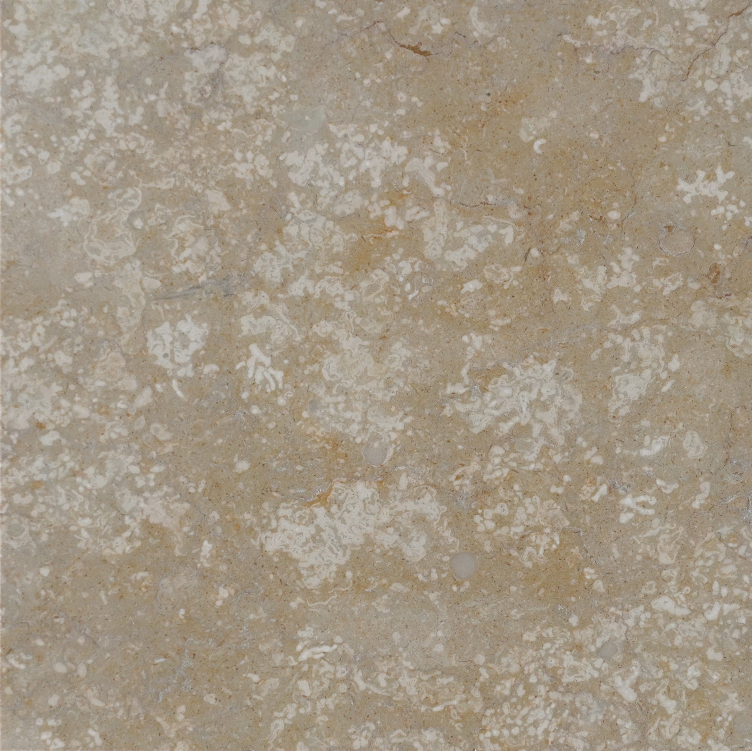 Desert Cream  Metamar Marble