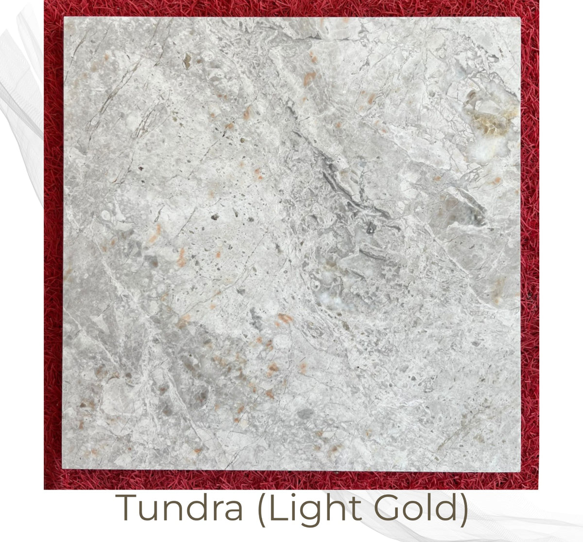Tundra (Light Gold)