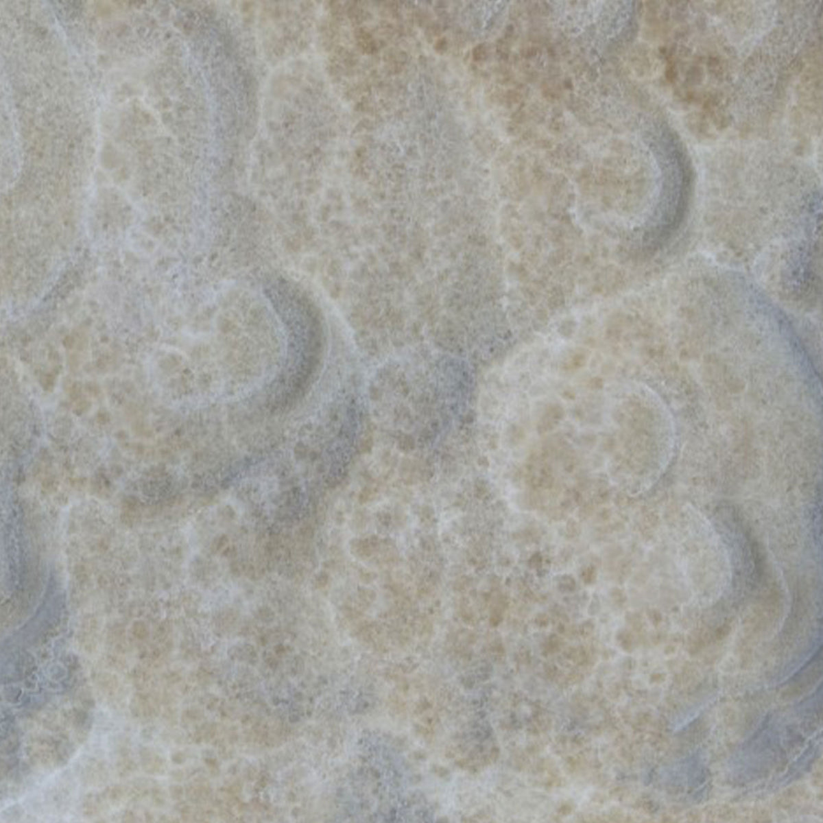 Dove Onyx