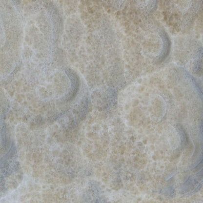 Dove Onyx