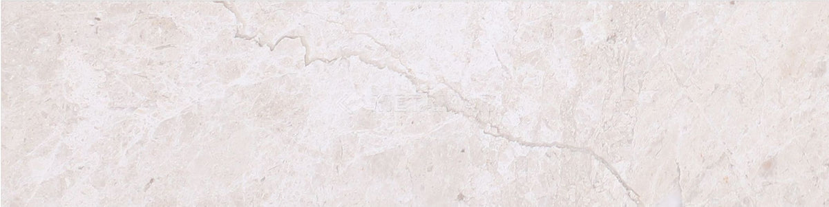 Papillon 2.5&#39;&#39; x 10&#39;&#39; Tile