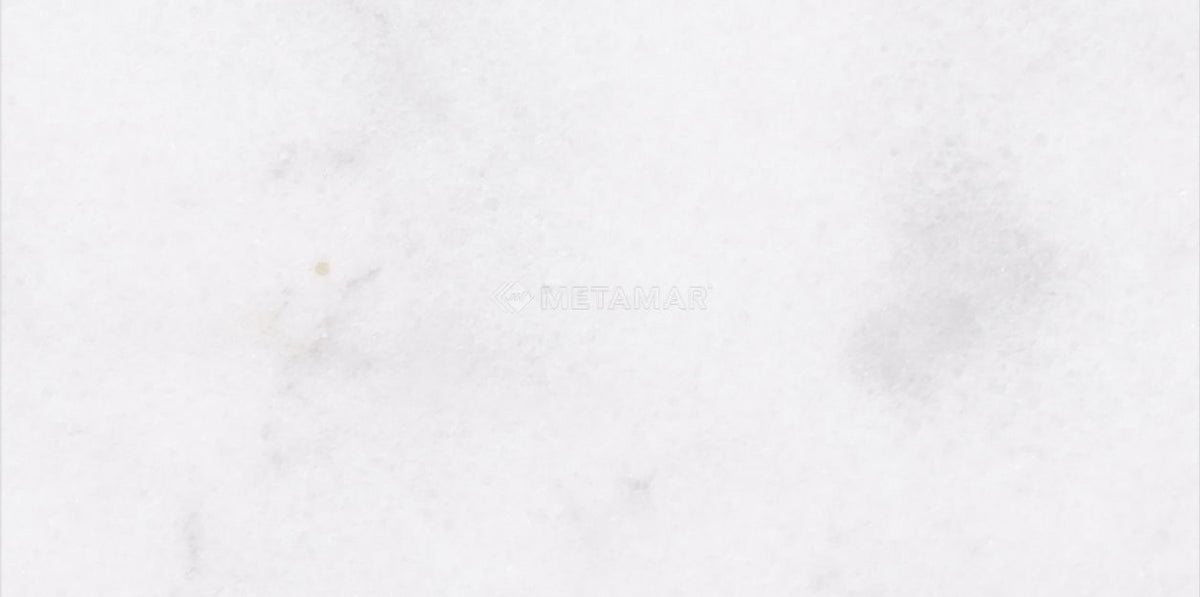 Alba Vera 3&#39;&#39; x 6&#39;&#39; Tile