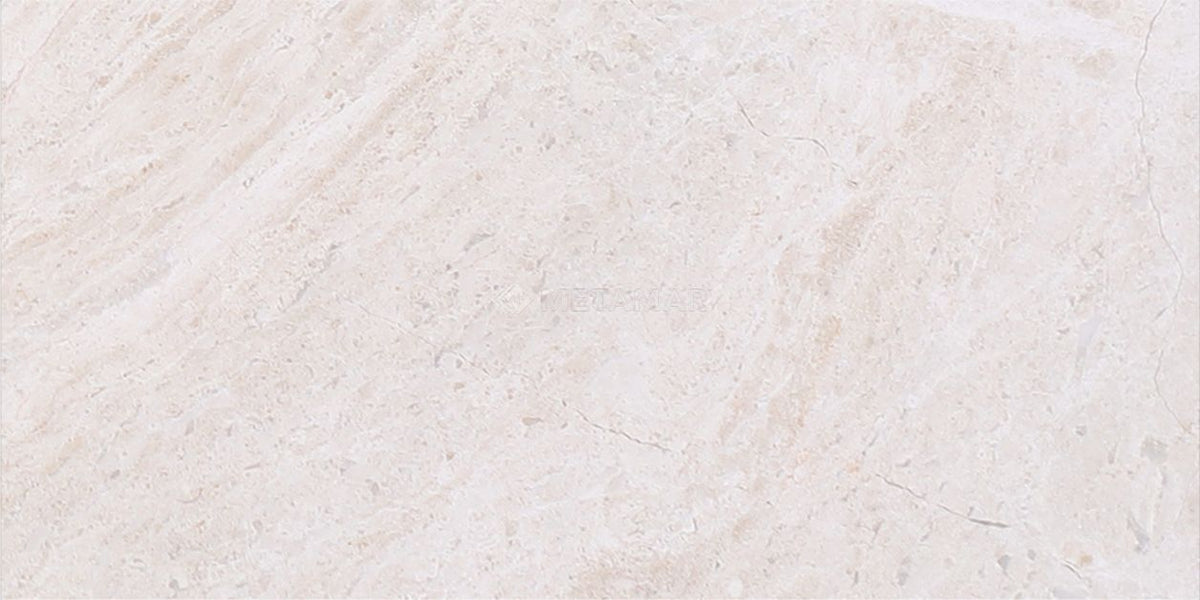 Papillon 3&#39;&#39; x 6&#39;&#39; Tile