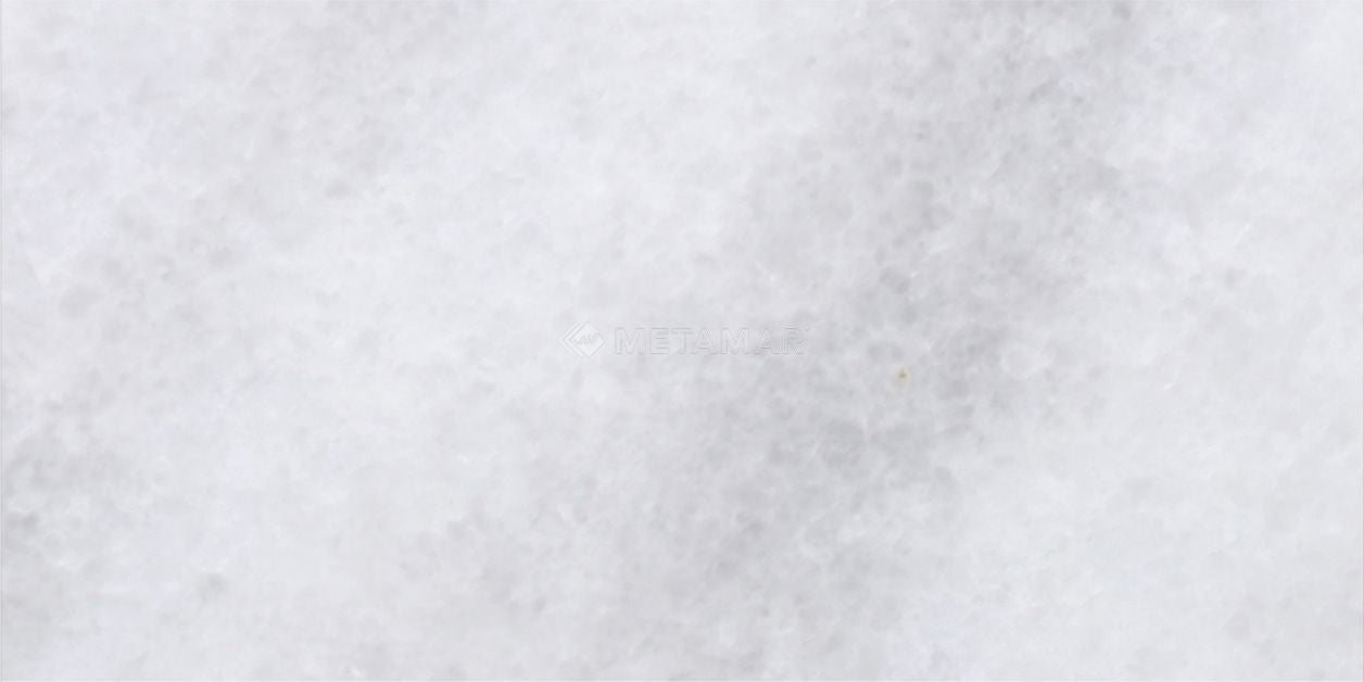 Bianco Neve Deco 3'' x 6'' Tile