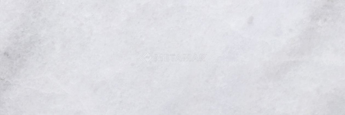 Bianco Neve Deco 4&#39;&#39; x 12&#39;&#39; Tile