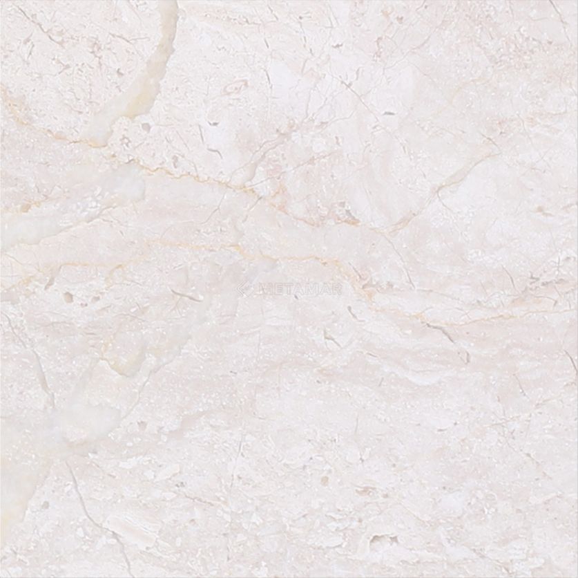 Papillon 4&#39;&#39; x 4&#39;&#39; Tile