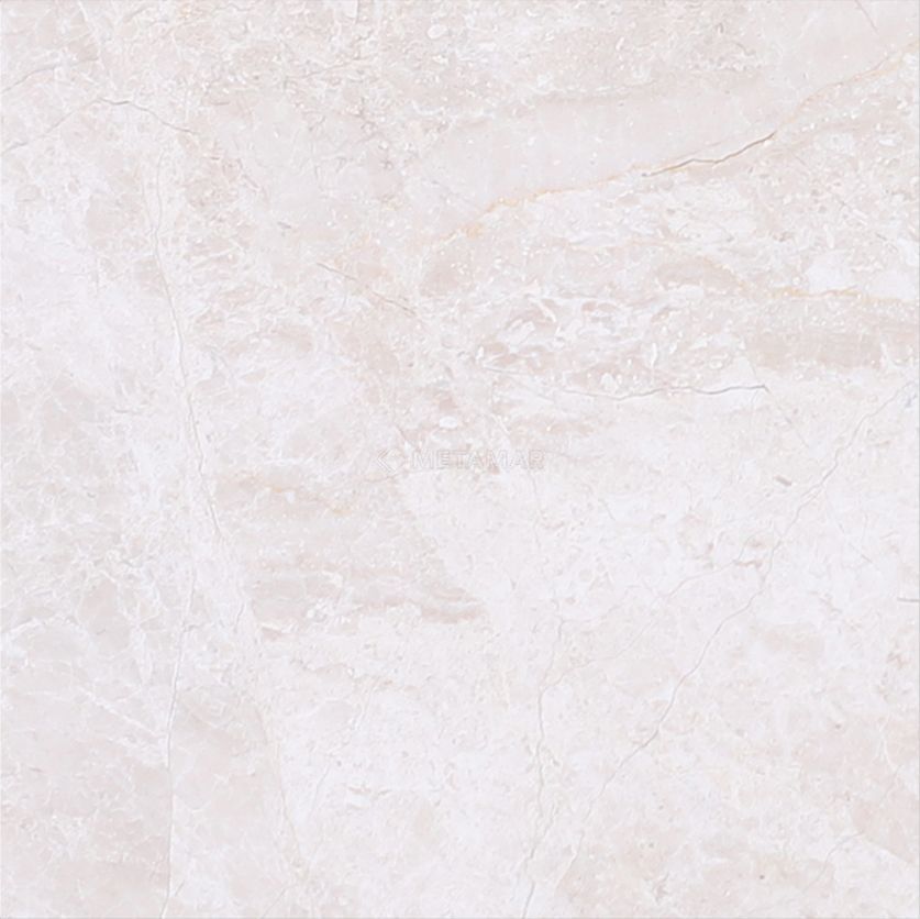 Papillon 4&#39;&#39; x 4&#39;&#39; Tile