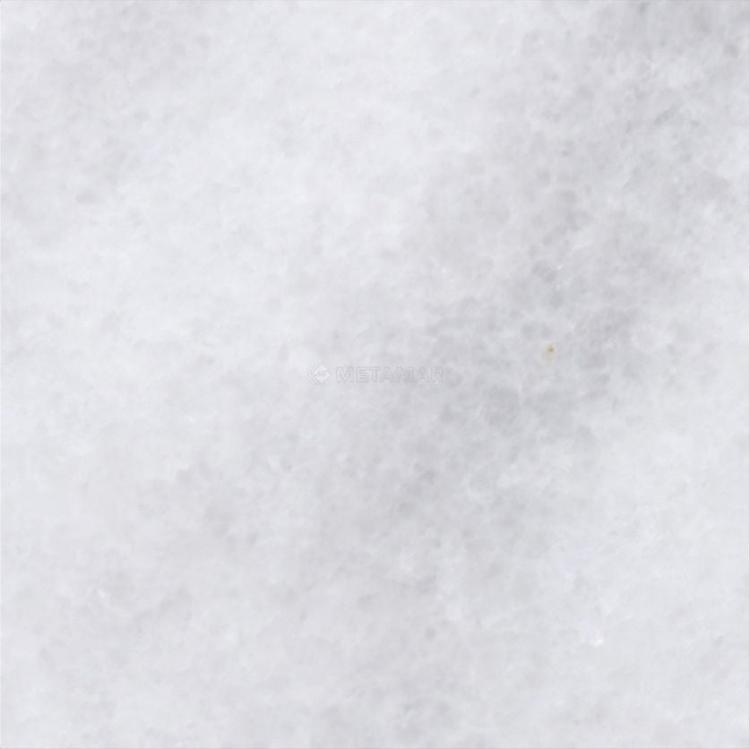 Bianco Neve Deco 4&#39;&#39; x 4&#39;&#39; Tile