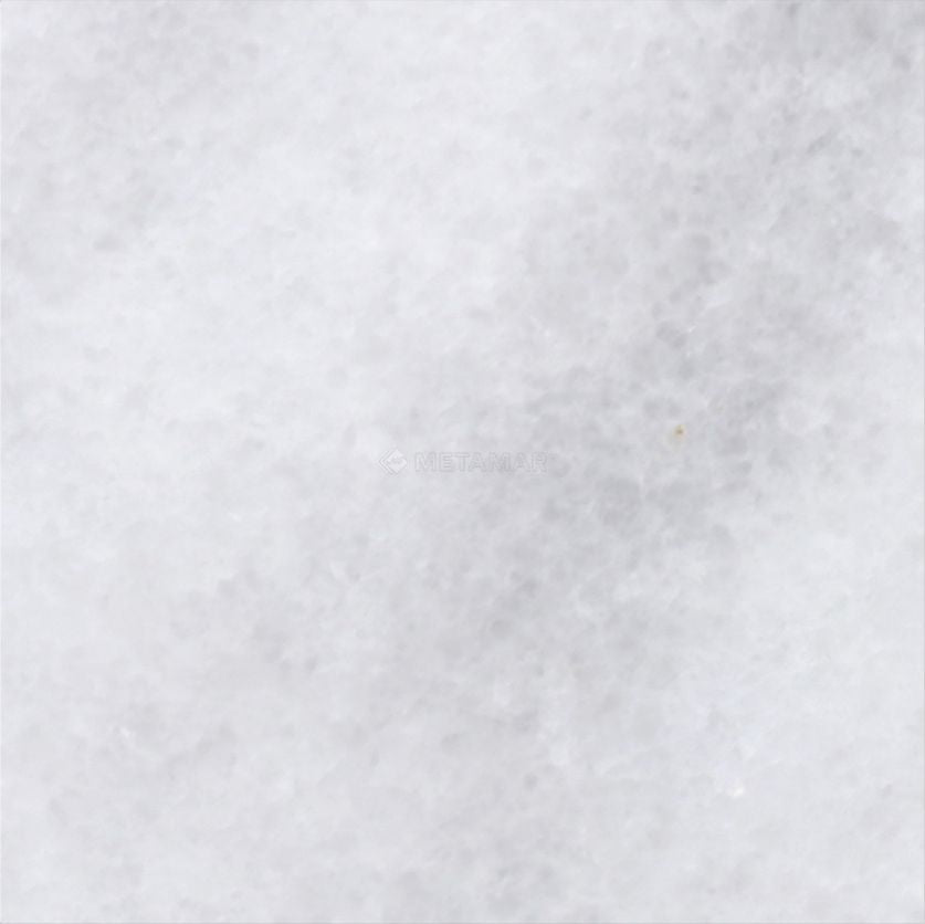 Bianco Neve Deco 4'' x 4'' Tile
