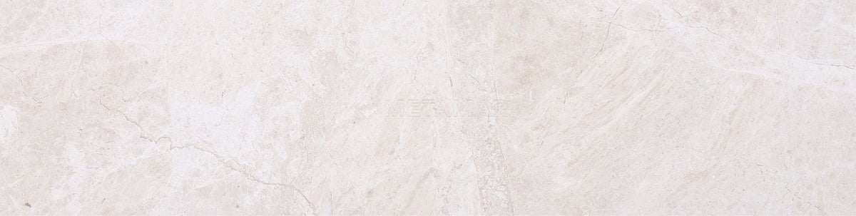 Papillon 6&#39;&#39; x 24&#39;&#39; Tile