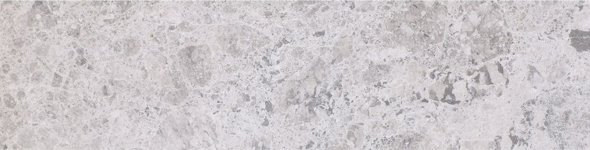 Tundra Grey 6&#39;&#39; x 24&#39;&#39; Tile