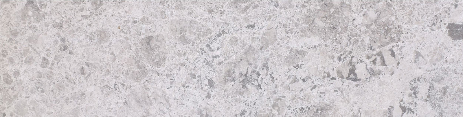 Tundra Grey 6'' x 24'' Tile