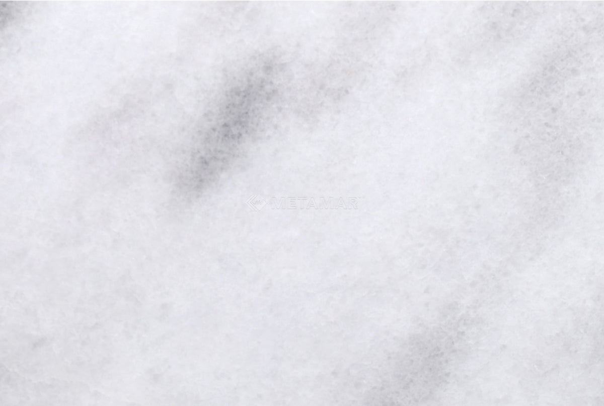 Bianco Neve Deco 8&#39;&#39; x 12&#39;&#39; Tile