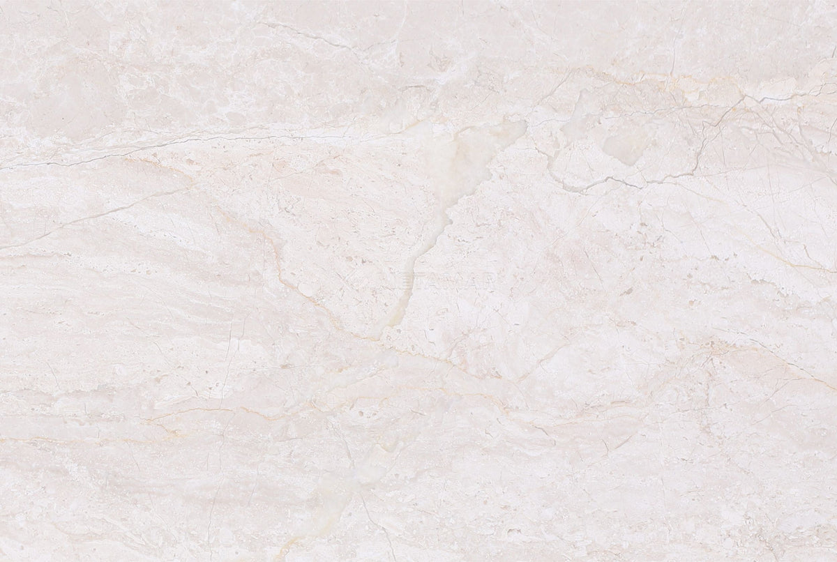 Papillon 8&#39;&#39; x 12&#39;&#39; Tile