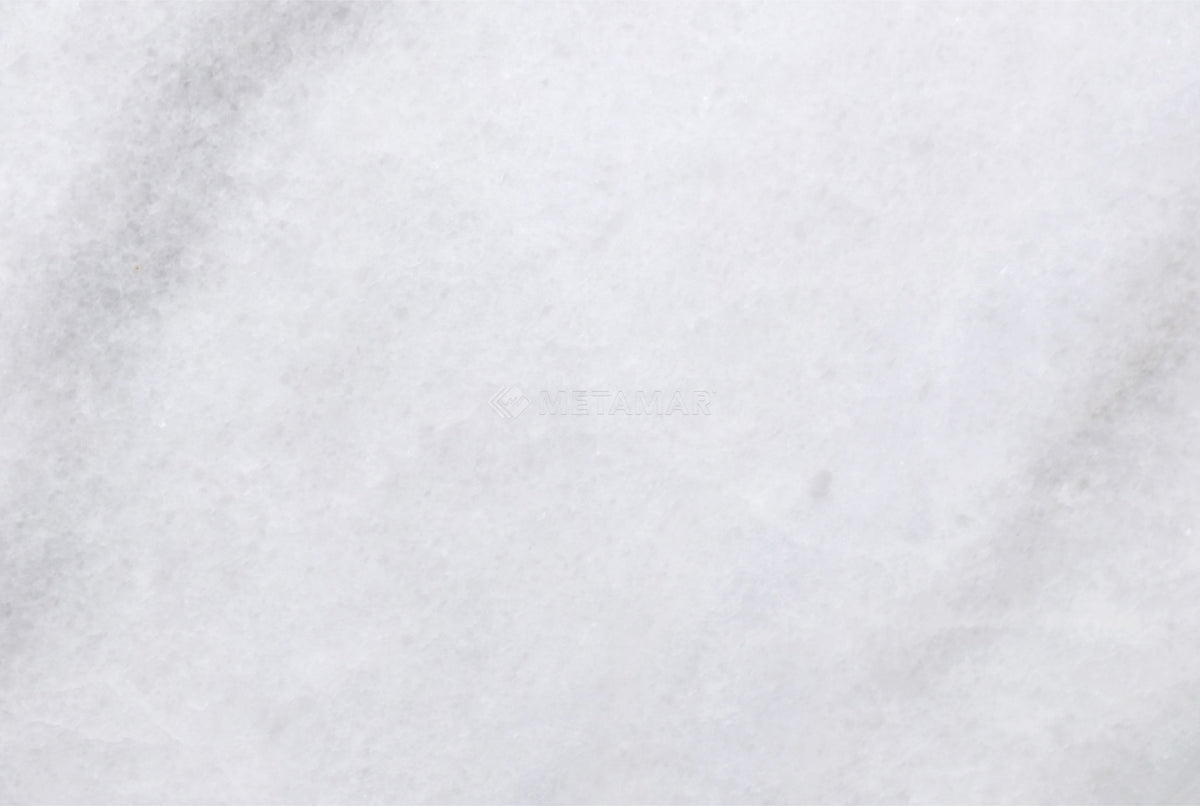 Bianco Neve Deco 8&#39;&#39; x 12&#39;&#39; Tile