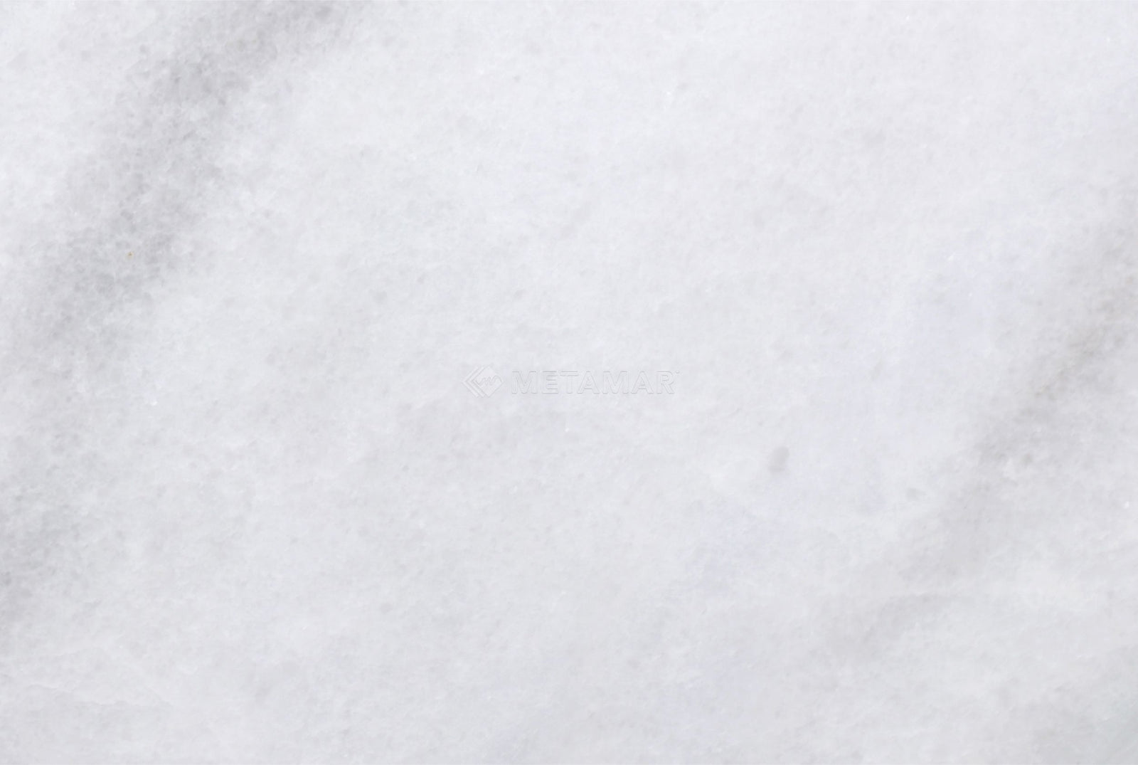 Bianco Neve Deco 8'' x 12'' Tile