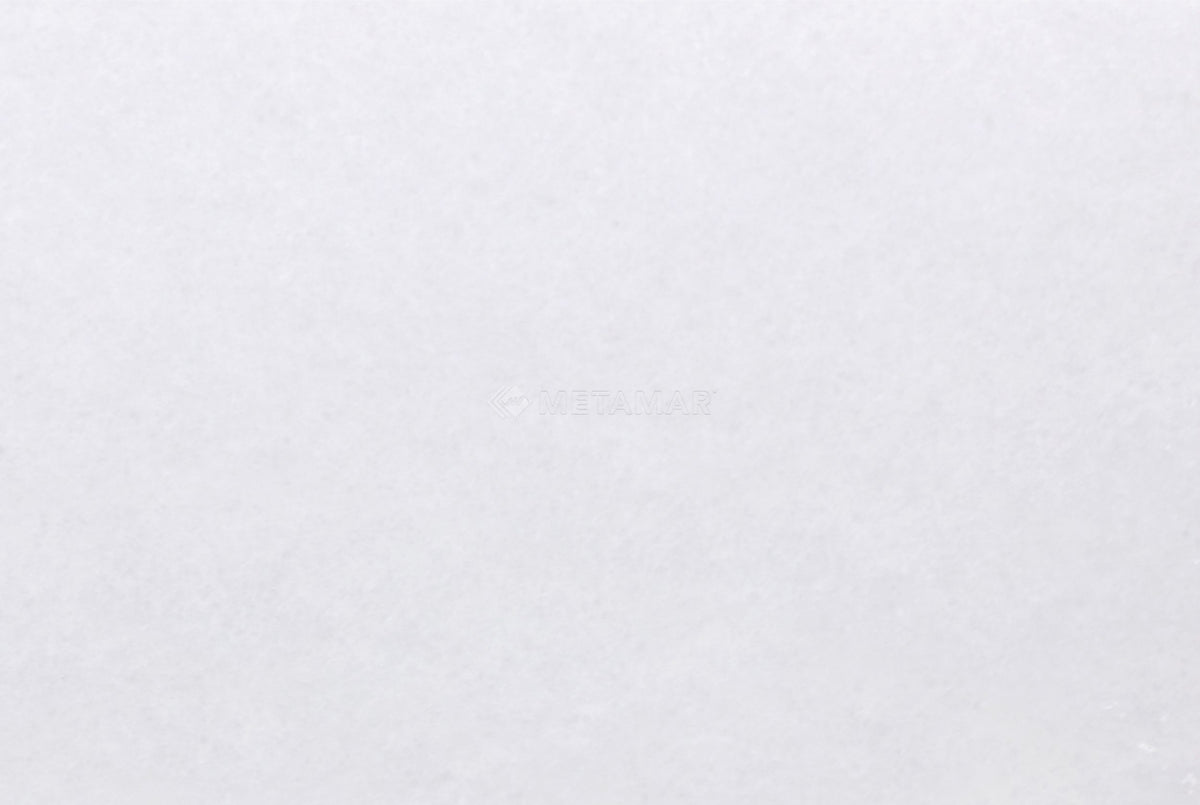 Bianco Neve 8&#39;&#39; x 12&#39;&#39; Tile