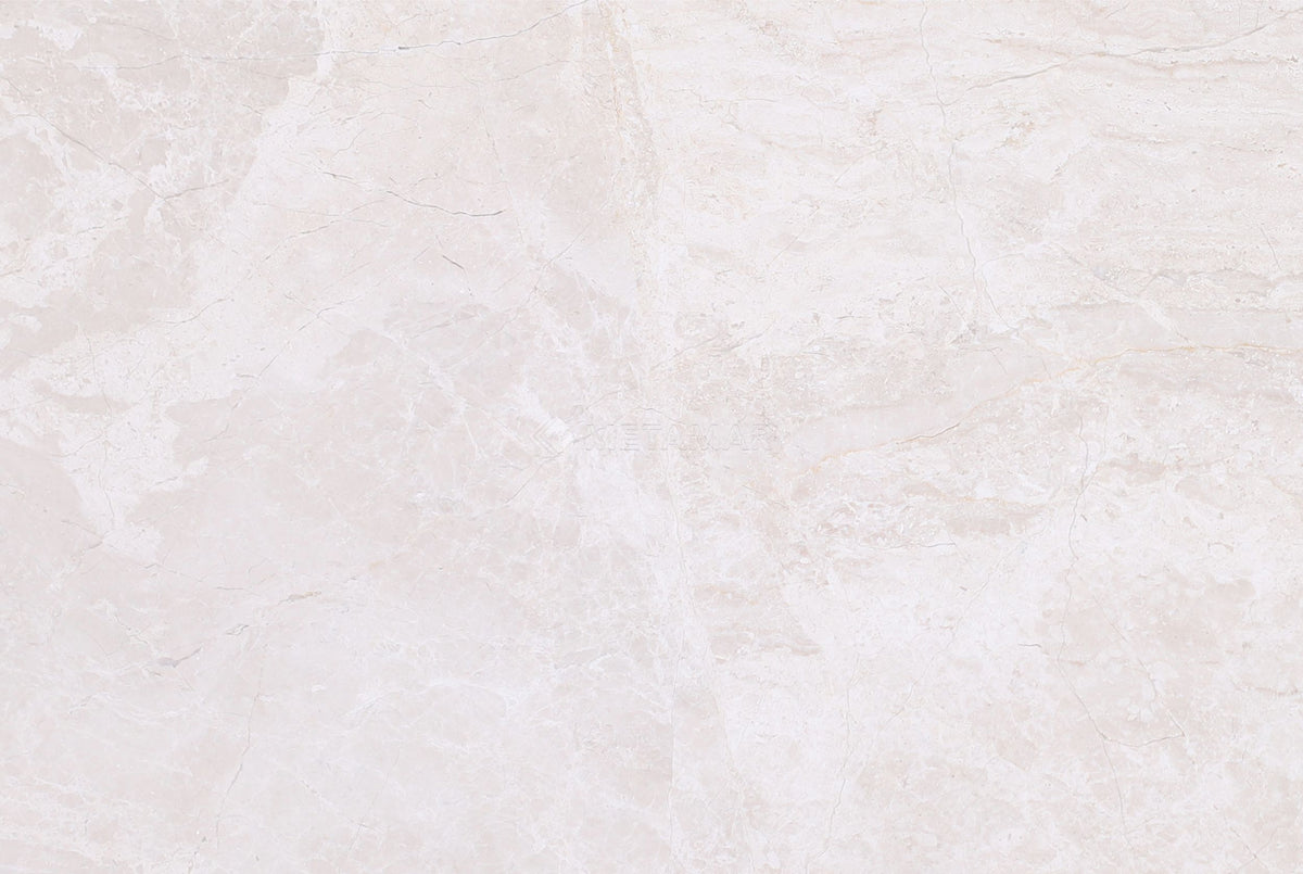 Papillon 8&#39;&#39; x 12&#39;&#39; Tile