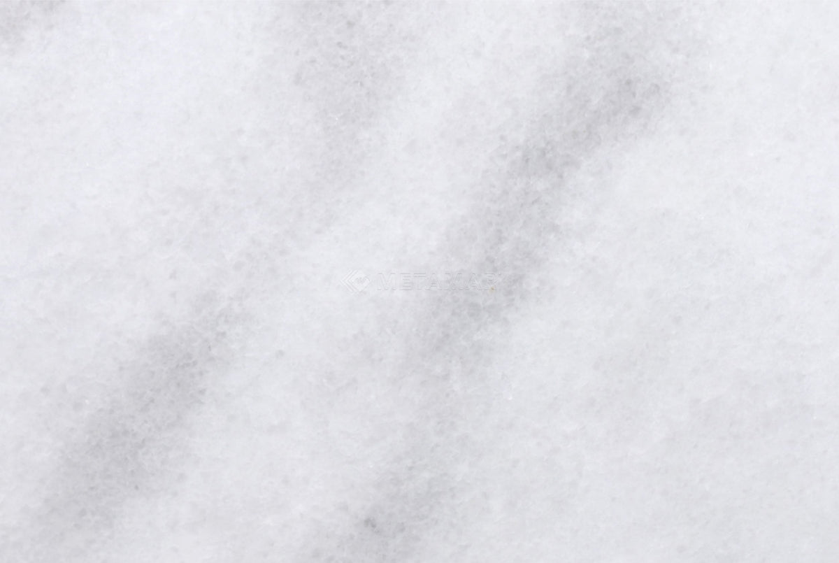 Bianco Neve Deco 8&#39;&#39; x 12&#39;&#39; Tile