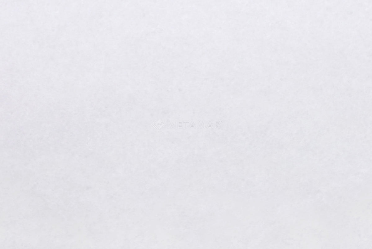 Bianco Neve 8&#39;&#39; x 12&#39;&#39; Tile