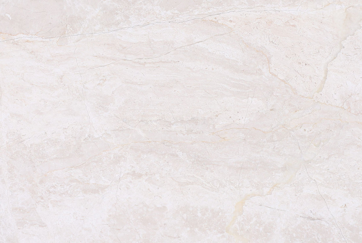 Papillon 8&#39;&#39; x 12&#39;&#39; Tile