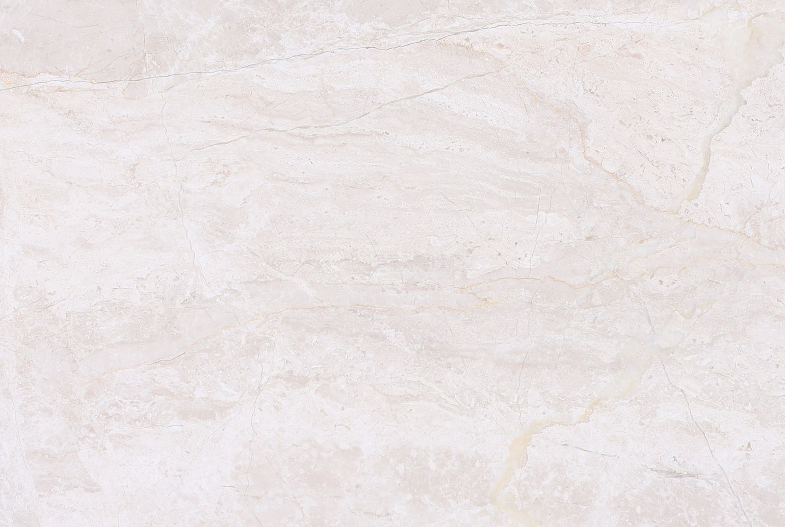 Papillon 8'' x 12'' Tile