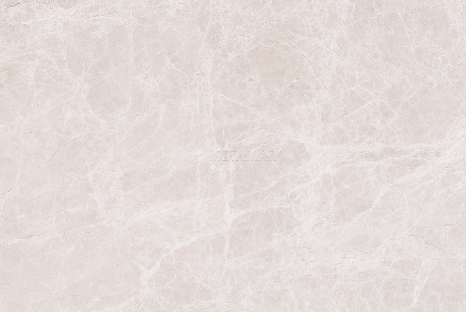 Bianco Crema 8'' x 12'' Tile