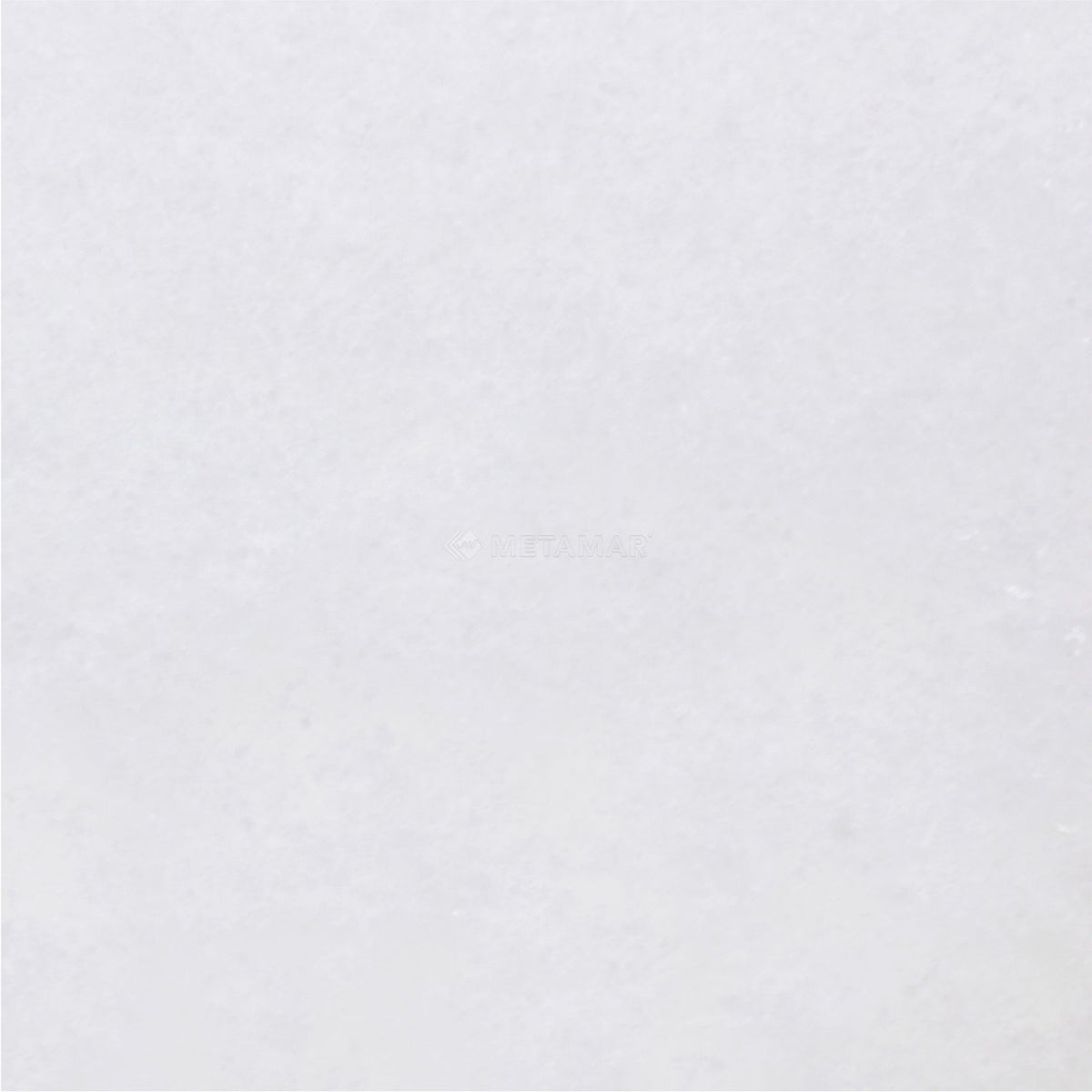 Bianco Neve 8&#39;&#39; x 8&#39;&#39; Tile