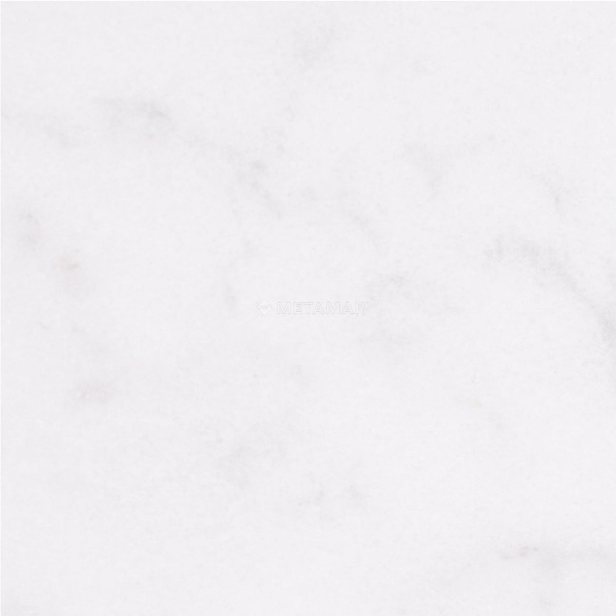 Alba Vera 8&#39;&#39; x 8&#39;&#39; Tile