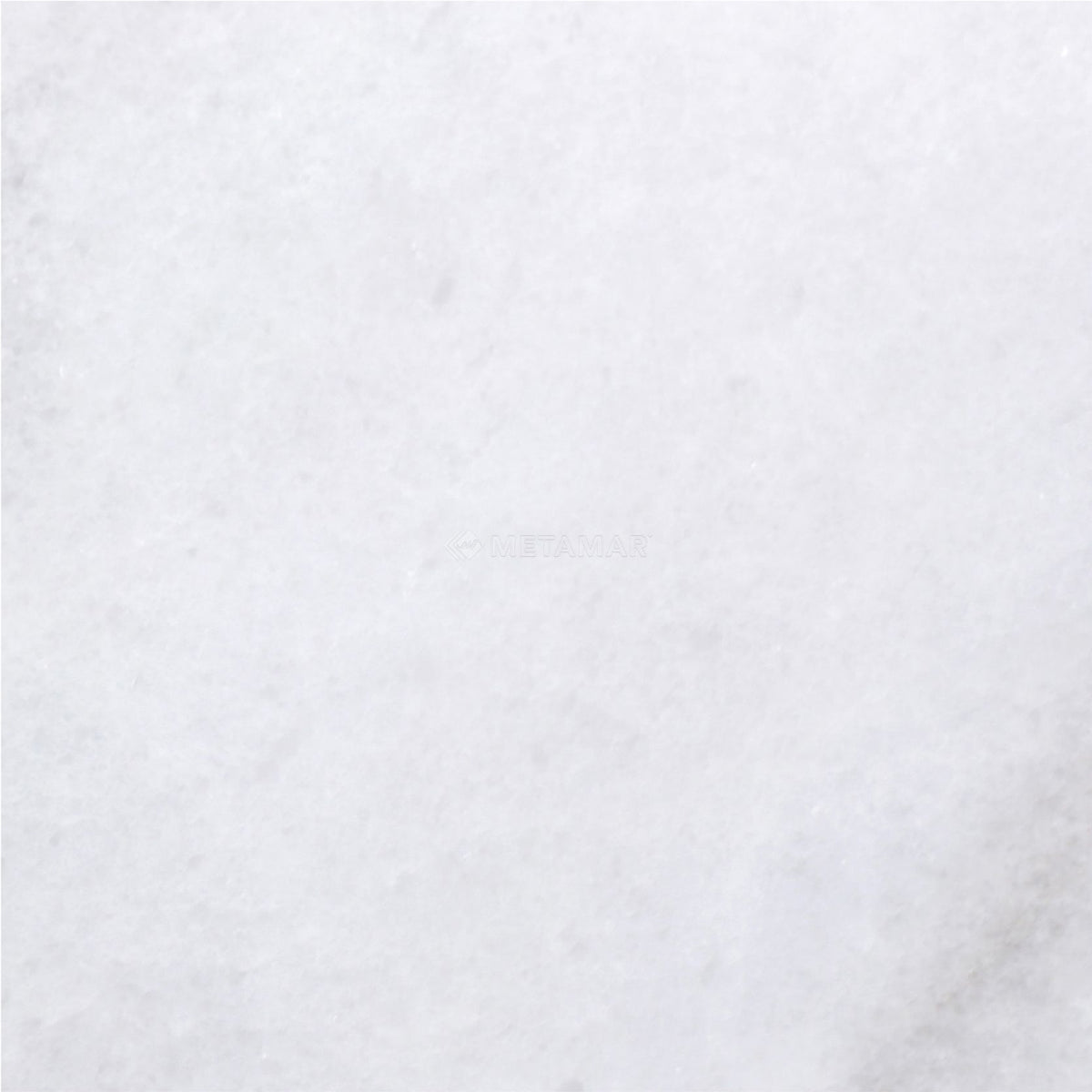 Bianco Neve Deco 8&#39;&#39; x 8&#39;&#39; Tile