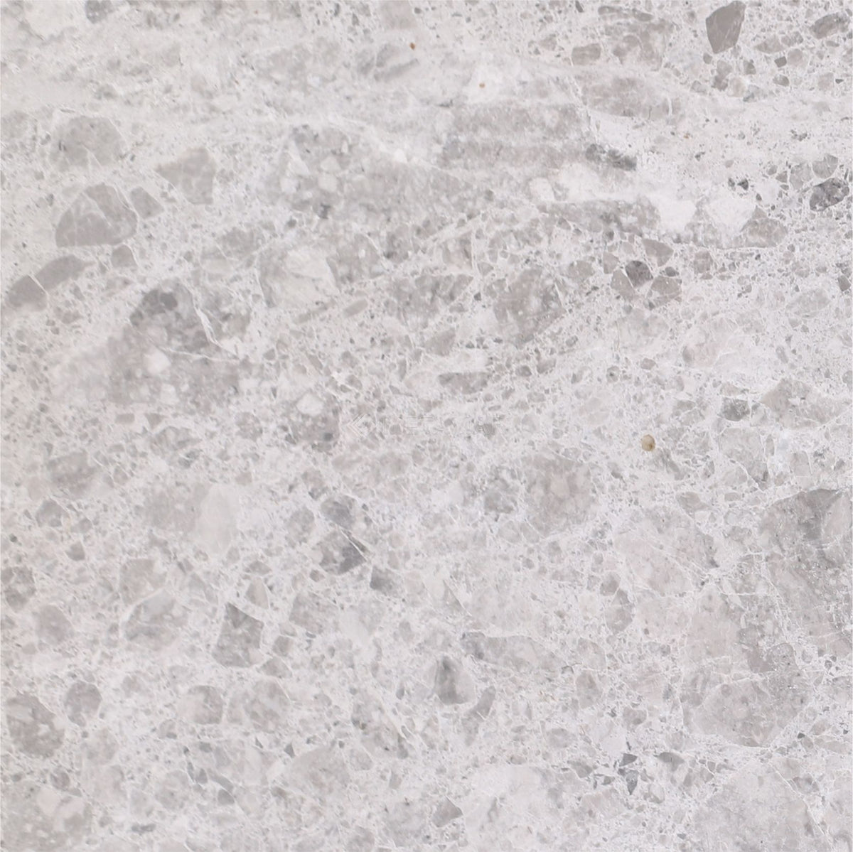 Tundra Grey 8&#39;&#39; x 8&#39;&#39; Tile