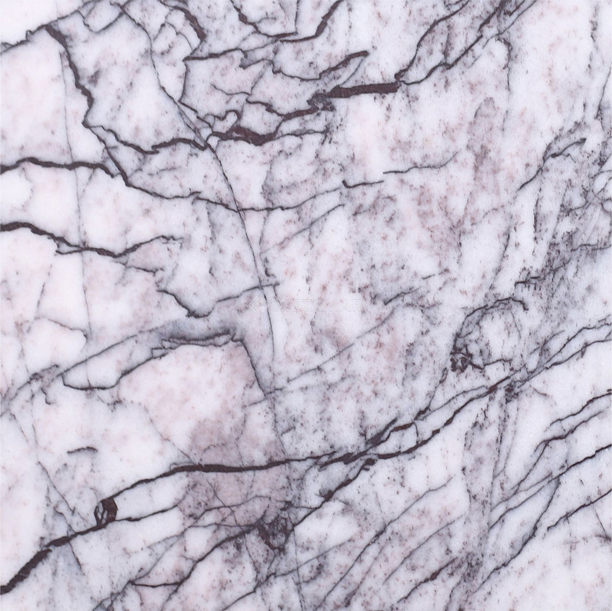 Lilac 8&#39;&#39; x 8&#39;&#39; Tile