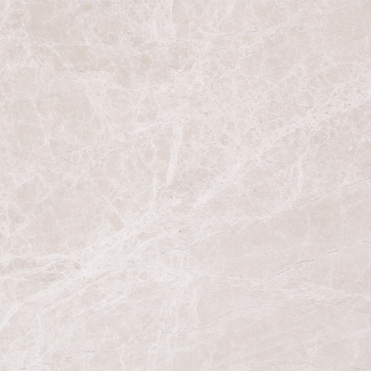 Bianco Crema 8&#39;&#39; x 8&#39;&#39; Tile