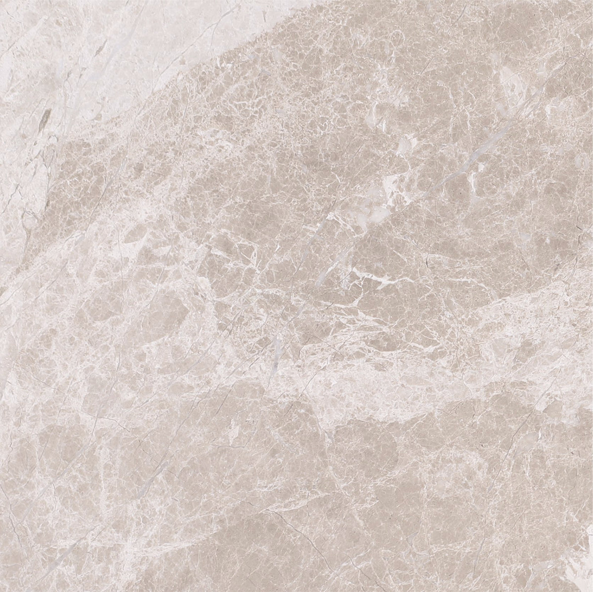 Kalahari 8&#39;&#39; x 8&#39;&#39; Tile