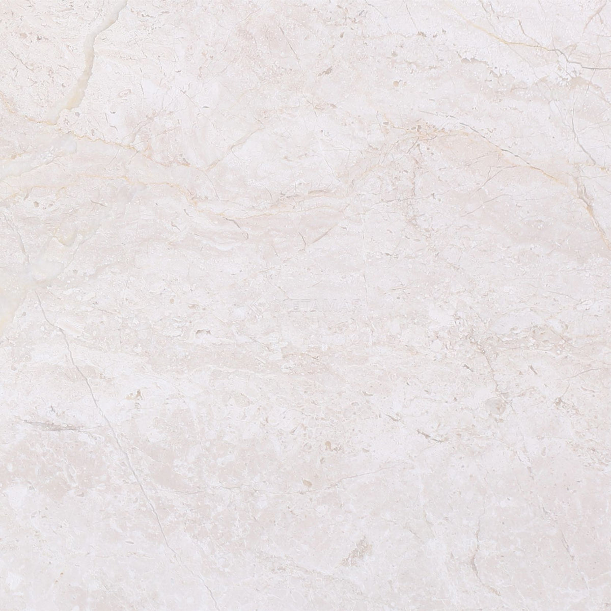 Papillon 8&#39;&#39; x 8&#39;&#39; Tile