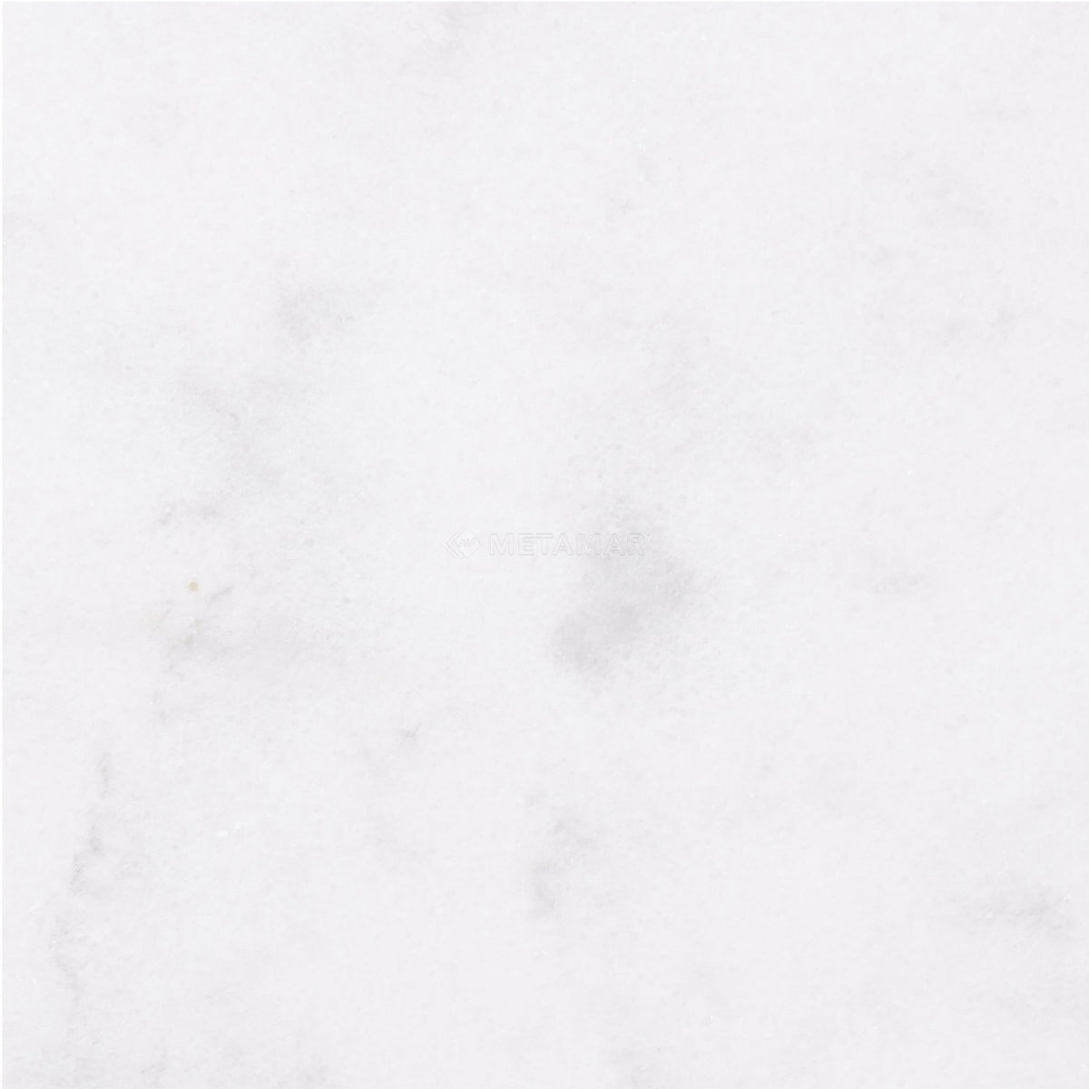 Alba Vera 8&#39;&#39; x 8&#39;&#39; Tile