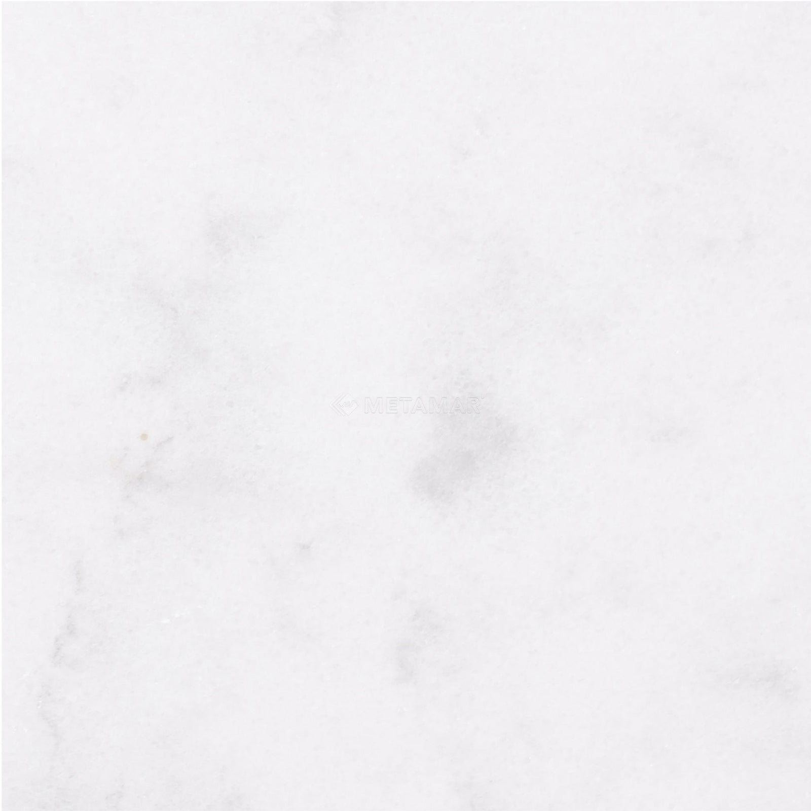 Alba Vera 8'' x 8'' Tile