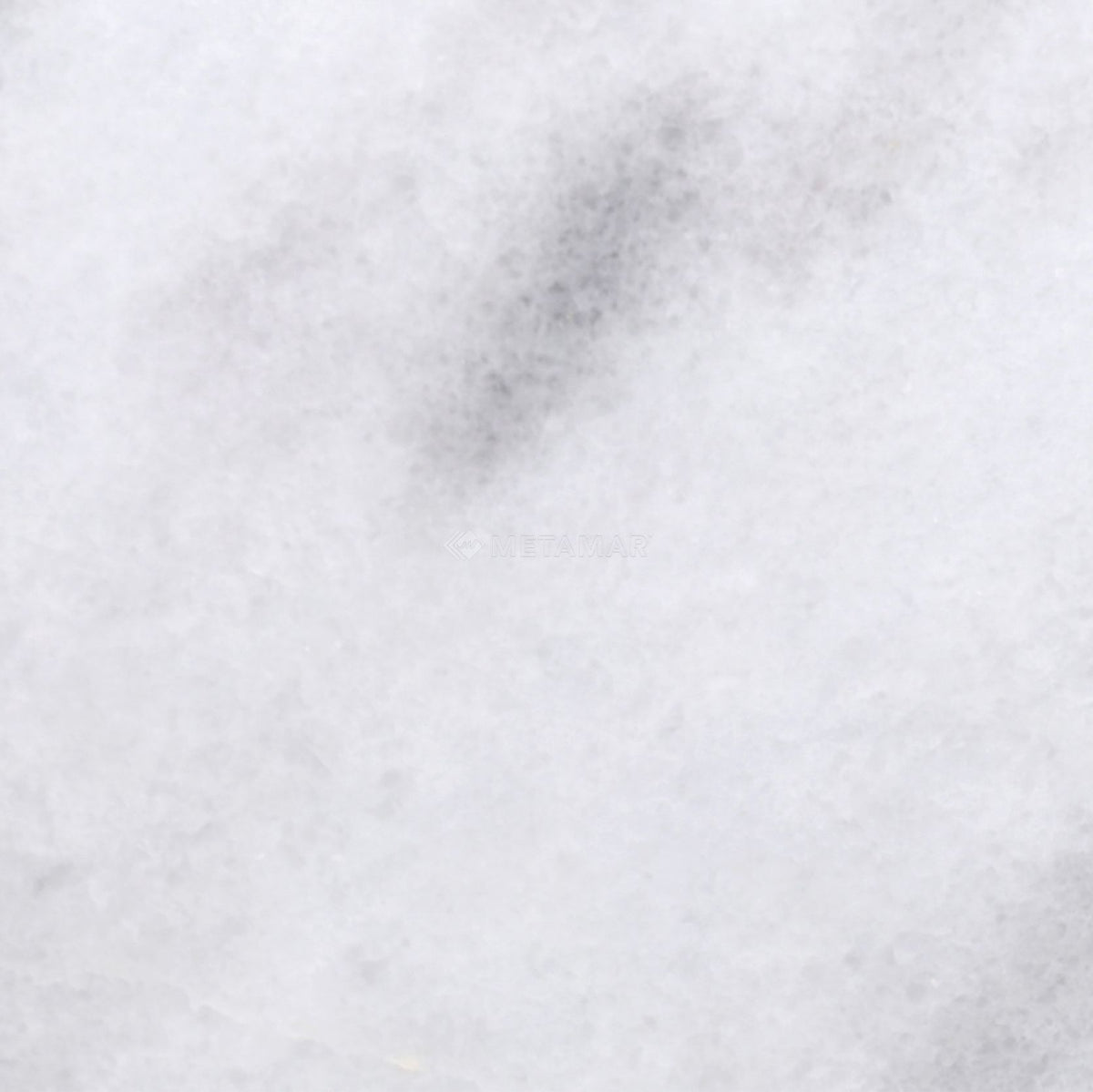 Bianco Neve Deco 8&#39;&#39; x 8&#39;&#39; Tile