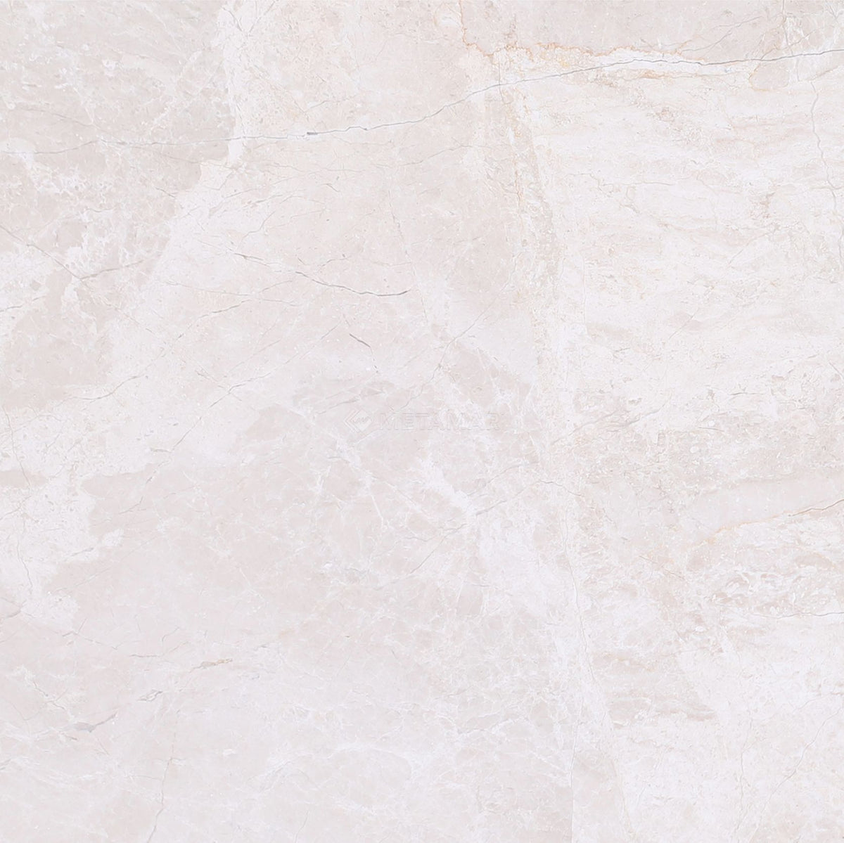 Papillon 8&#39;&#39; x 8&#39;&#39; Tile