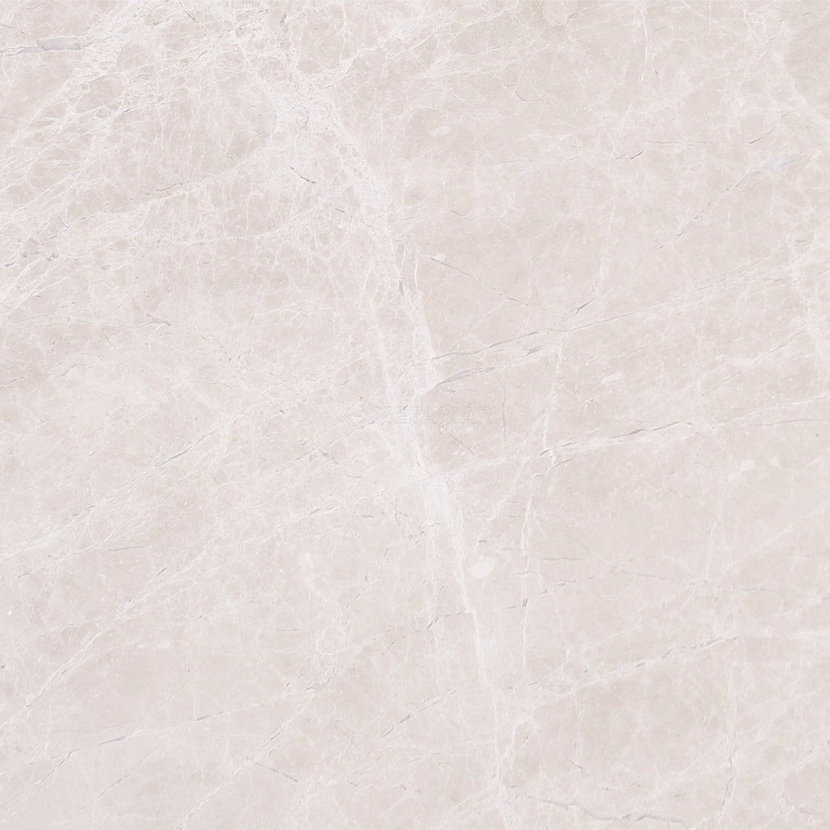 Bianco Crema 8&#39;&#39; x 8&#39;&#39; Tile