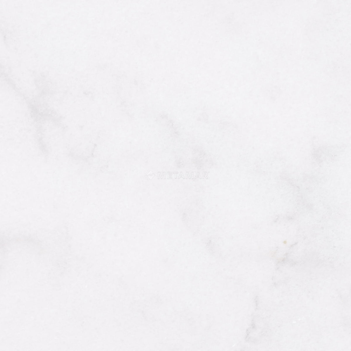 Alba Vera 8&#39;&#39; x 8&#39;&#39; Tile