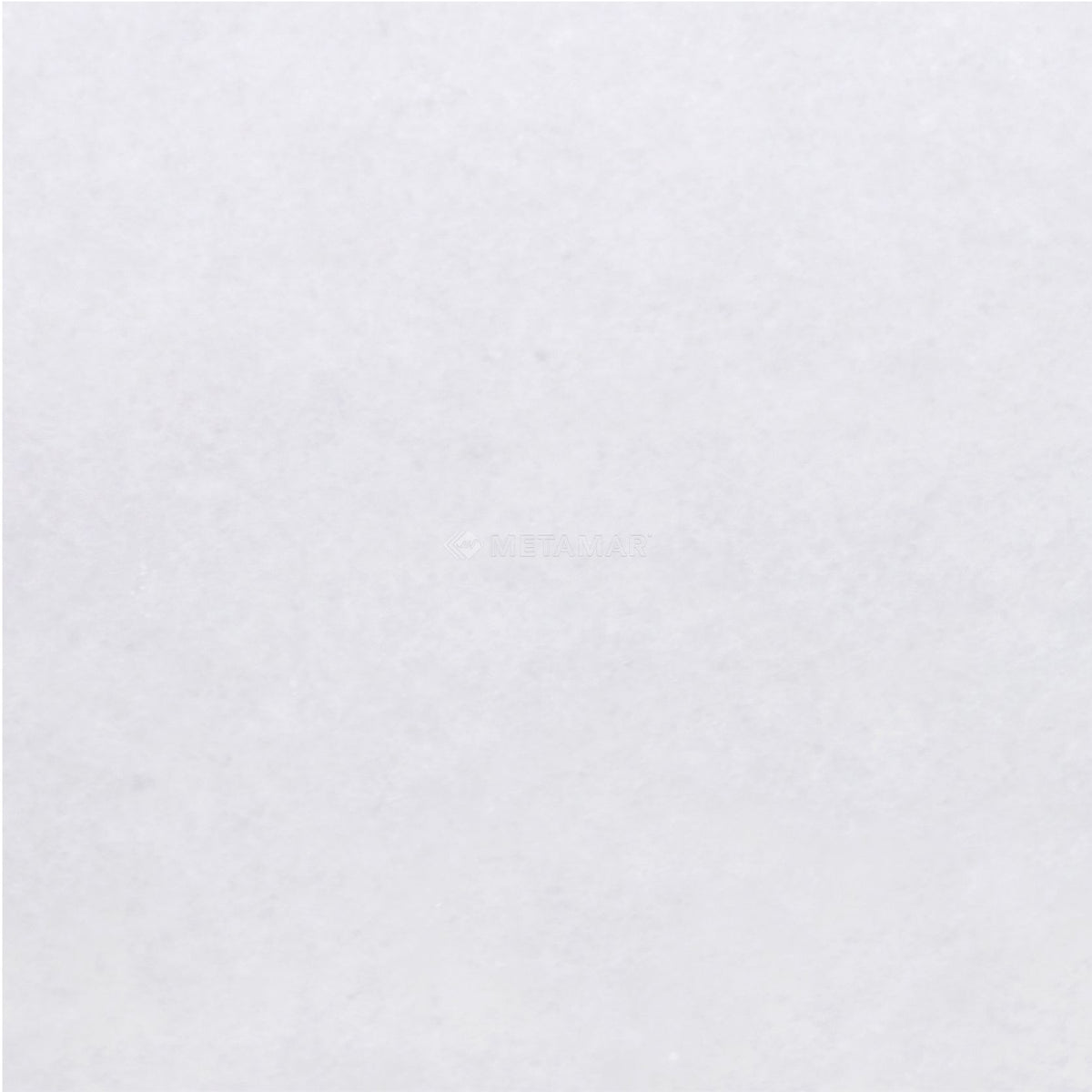 Bianco Neve 8&#39;&#39; x 8&#39;&#39; Tile