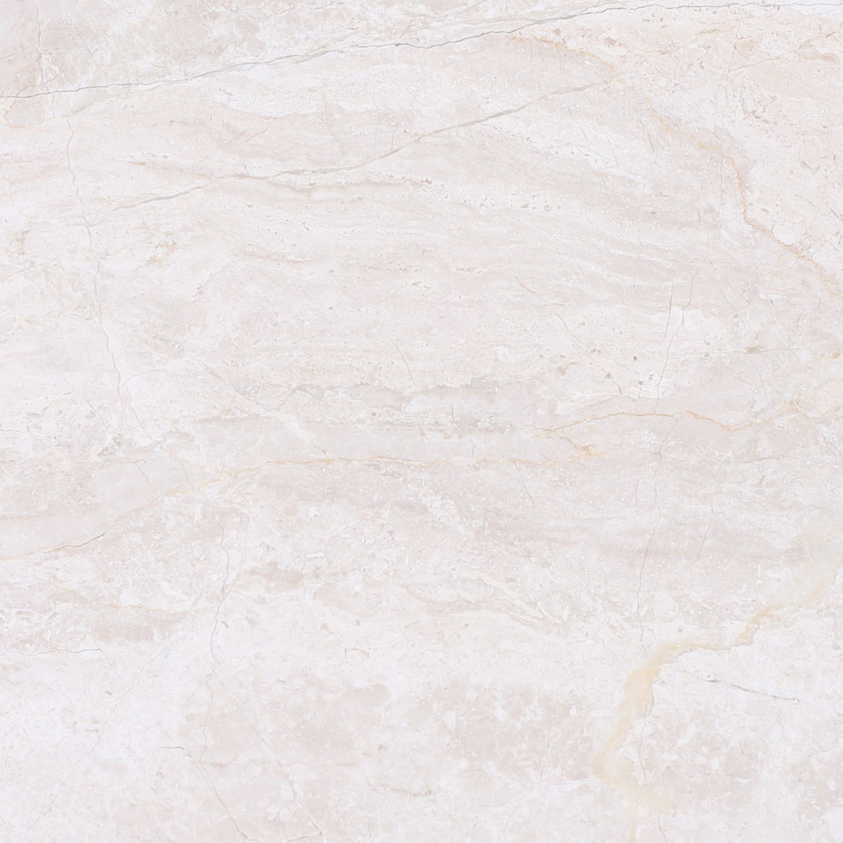 Papillon 8&#39;&#39; x 8&#39;&#39; Tile