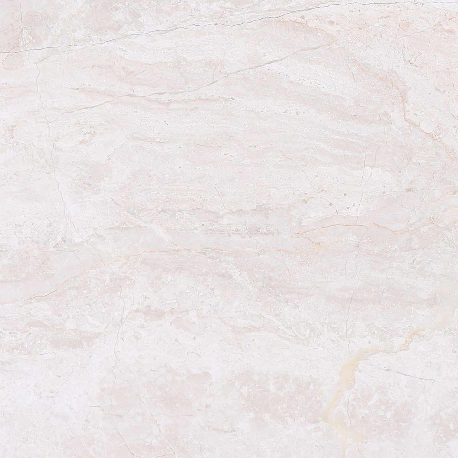 Papillon 8'' x 8'' Tile