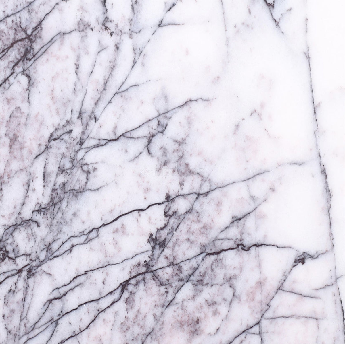 Lilac 8&#39;&#39; x 8&#39;&#39; Tile