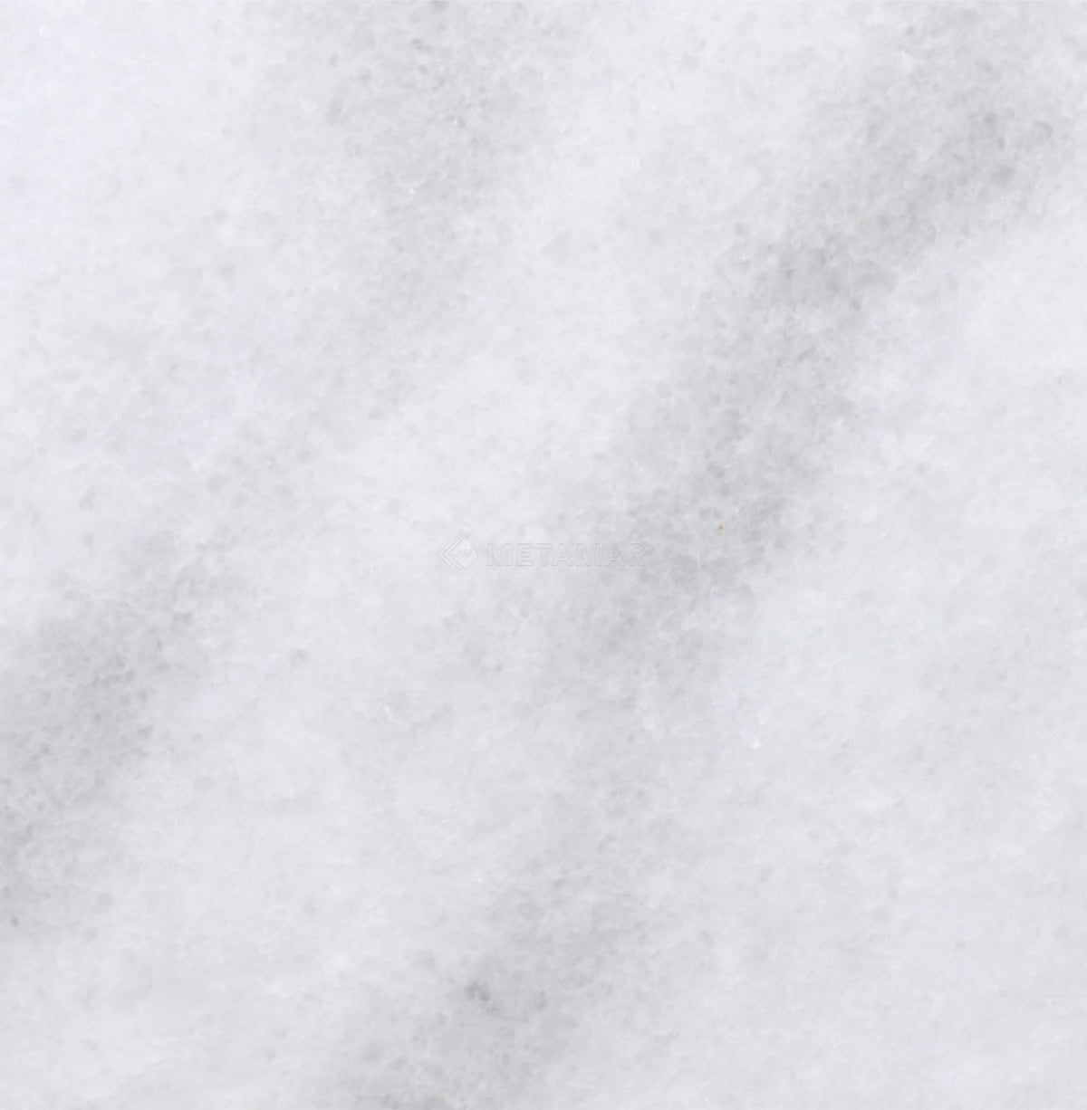 Bianco Neve Deco 8&#39;&#39; x 8&#39;&#39; Tile