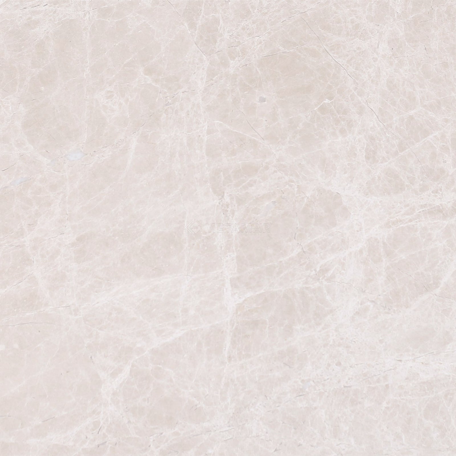 Bianco Crema 8'' x 8'' Tile